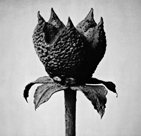 Masayoshi Fujita - Book Of Life  - (CD)