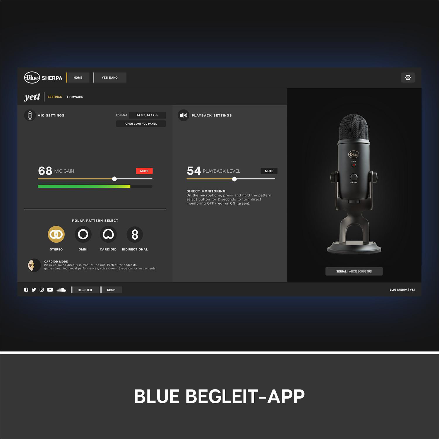 Schwarz Broadcast-Paket, BLUE Mikrofonschwenkarm, Yeticaster MICROPHONES Professional