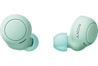 SONY WF-C500 Earbuds, Ladeetui, In-ear Kopfhörer Bluetooth Grün