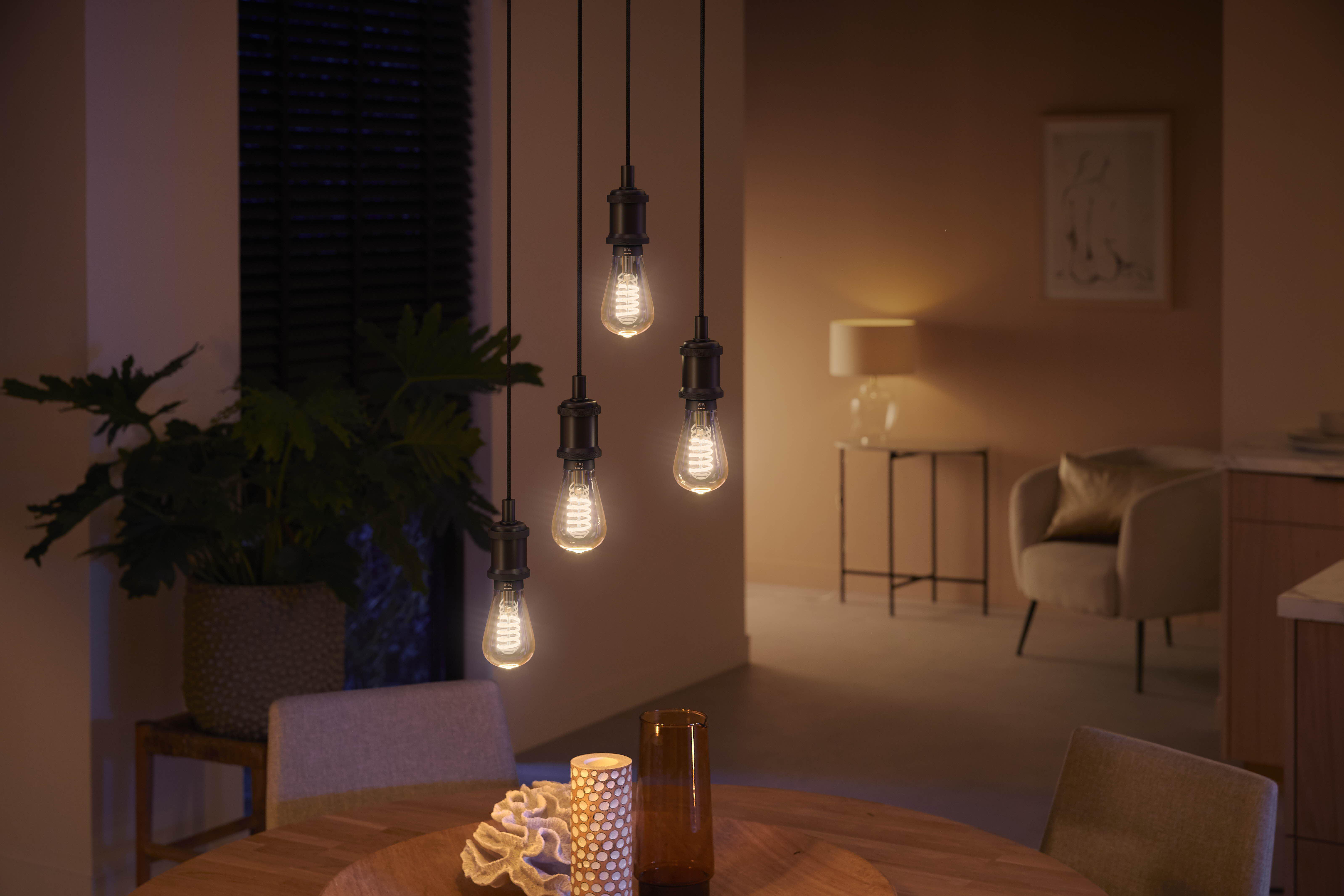 Ein Esszimmer mit hängenden Glühbirnen über einem Holztisch und einer grünen Pflanze.