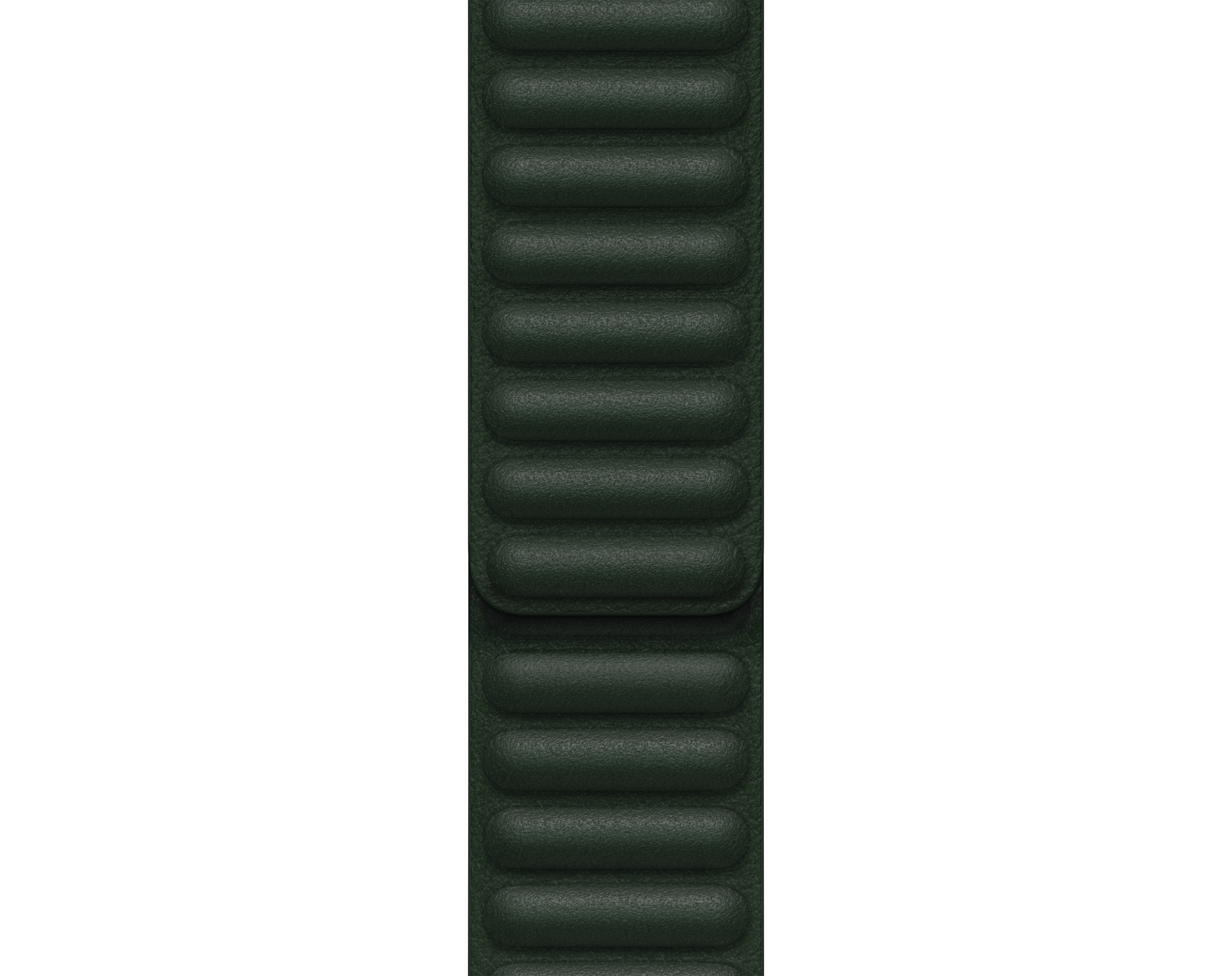 Correa de reloj de cuero verde oscuro, alineada verticalmente sobre un fondo blanco. La correa tiene una superficie texturizada.