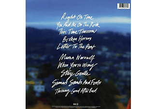 Brandi Carlile - IN THESE SILENT DAYS  - (Vinyl)