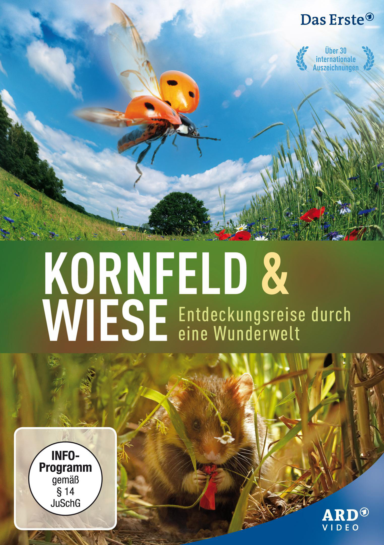 KORNFELD UND WIESE - ENTDECKUNGSREISE DVD