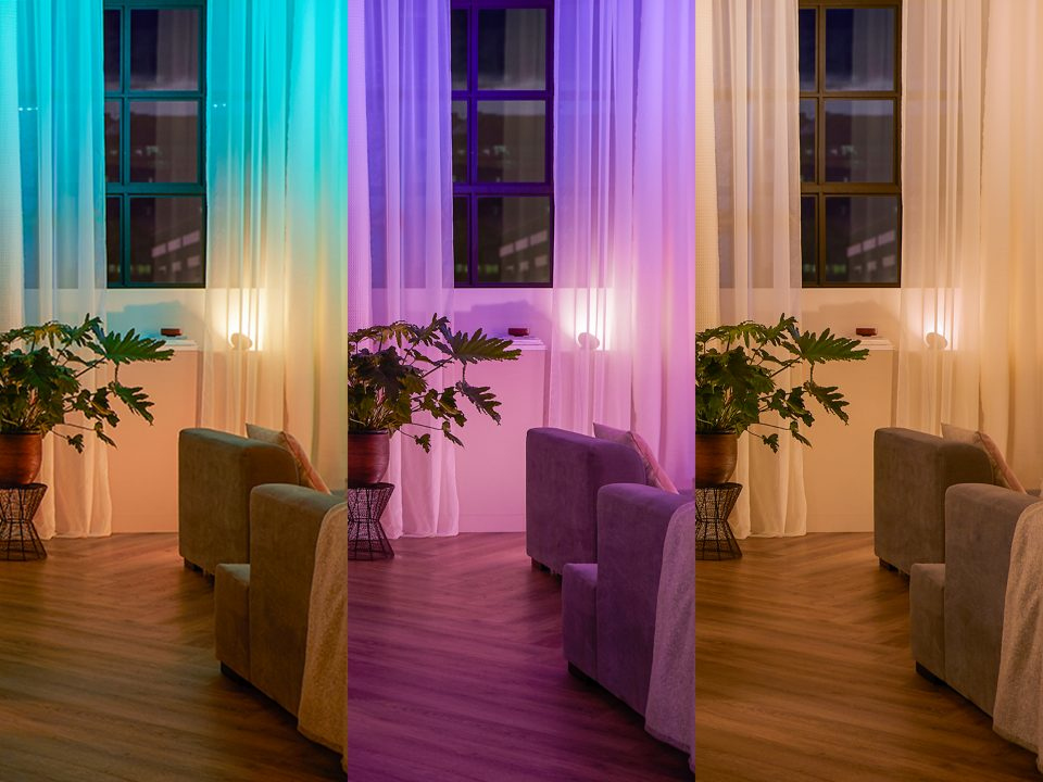 Interior with green and purple lighting, armchairs, and plants.