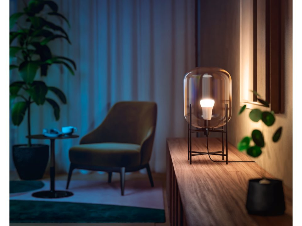A lit lamp on a wooden surface, near a chair. A green plant is on the left.