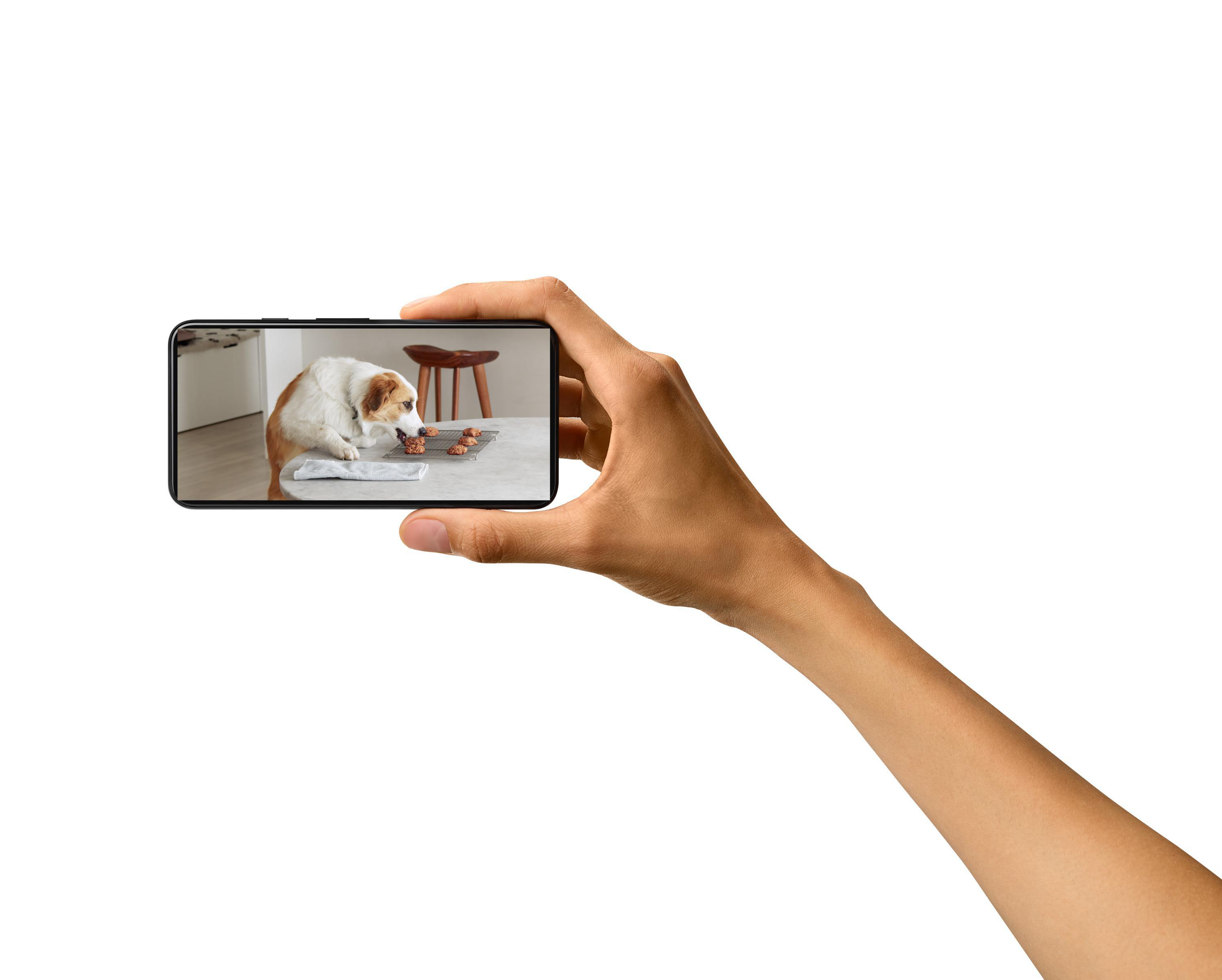 Eine Hand hält ein Smartphone, das einen Hund beim Essen auf einem Tisch zeigt.