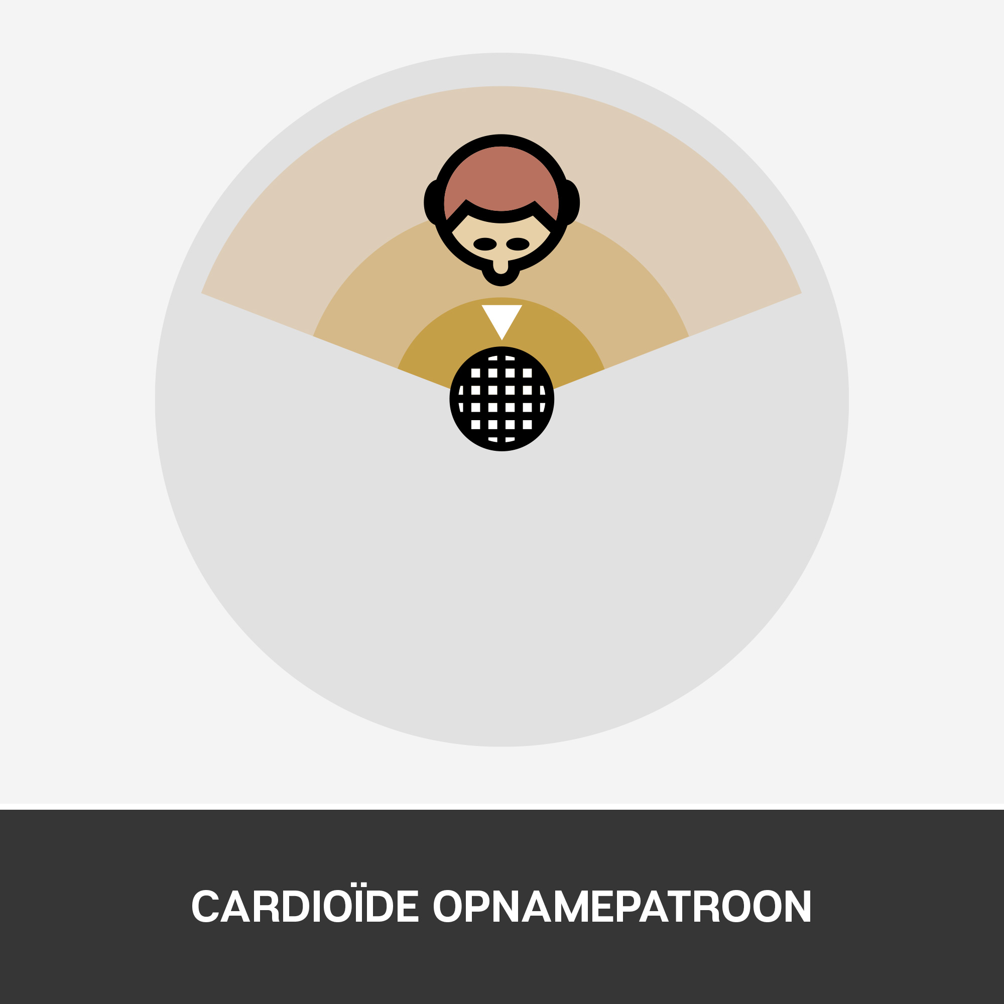 BLUE MIC Snowball ICE USB-microfoon