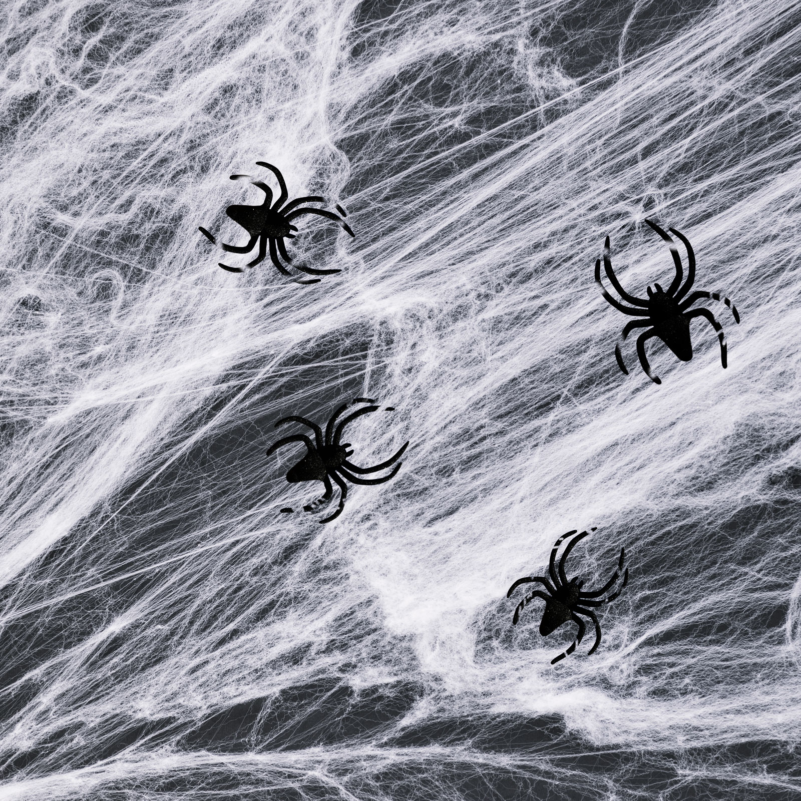 Fekete pókok fehér pókhálón, sötét háttér, Halloween téma.