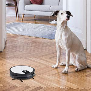 Ein Roboter-Staubsauger auf einem Holzboden, und ein Hund sitzt und beobachtet ihn.