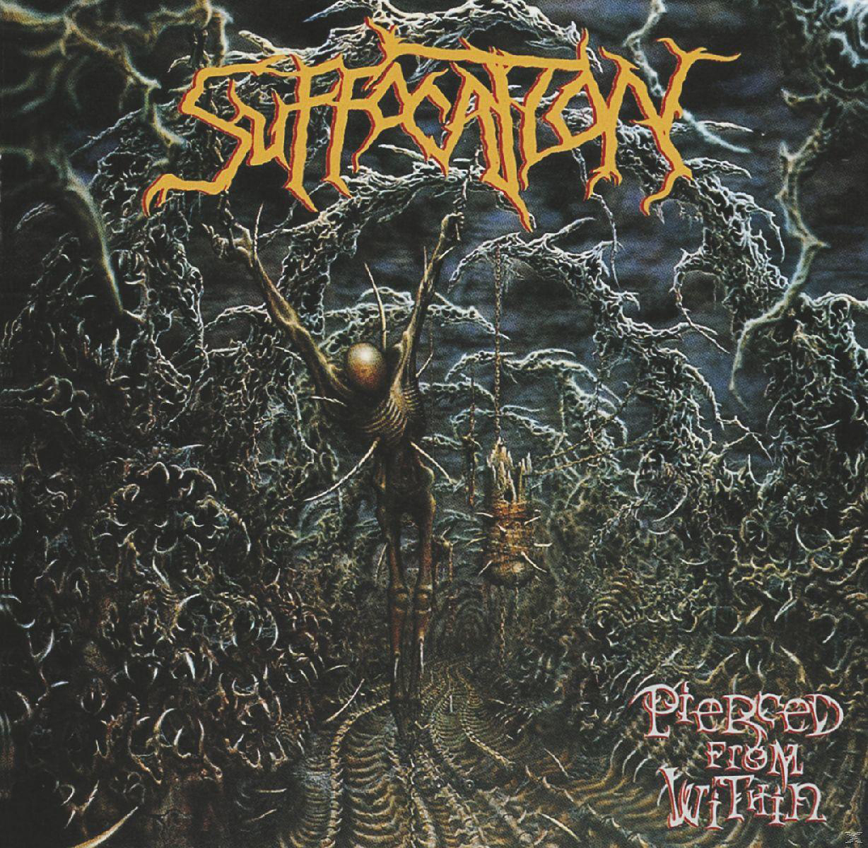 Suffocation - Pierced From Within  - (Vinyl)