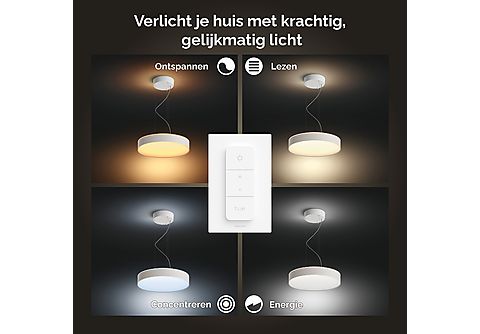 PHILIPS HUE Enrave hanglamp WA DS Wit