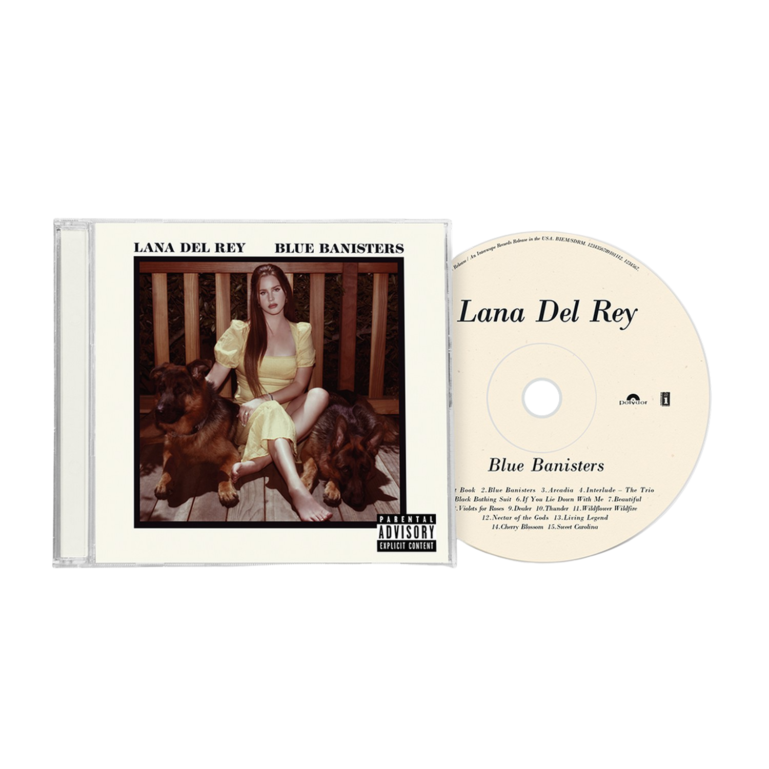 Lana Del Rey blue banisters cd