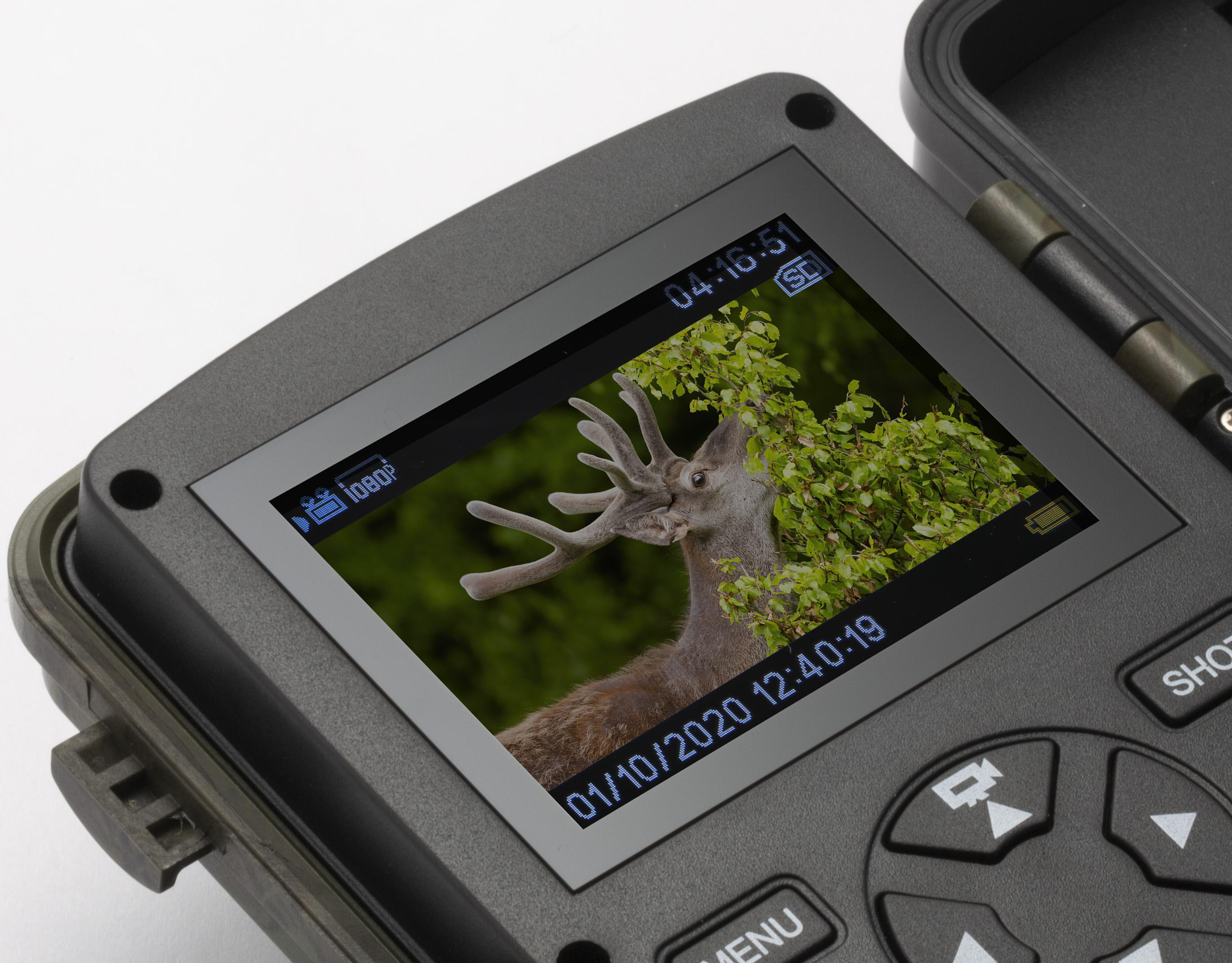 TECHNAXX TX-160 Wildkamera Grün, k.A. opt. Zoom