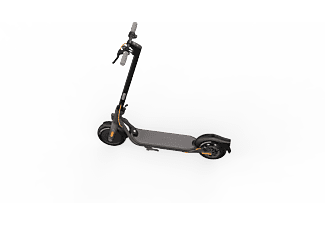 NINEBOT F30D powered by Segway E-Scooter (10 Zoll, Schwarz)