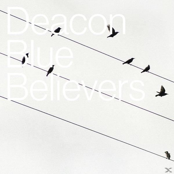Albumcover mit Vögeln auf Stromleitungen. Deacon Blue, Believers, ist der Titel.