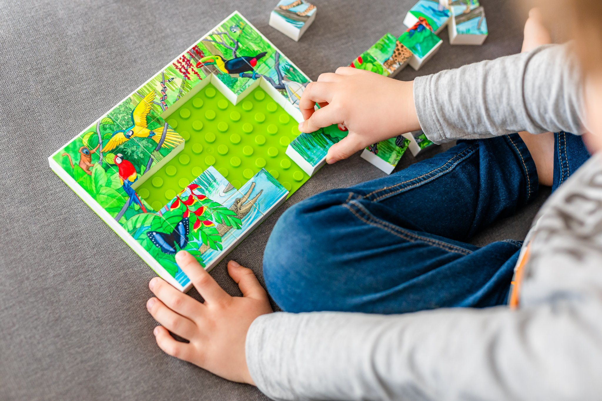 HUBELINO Faune dans la forêt tropicale (35 pièces) - Puzzle (multicolore)