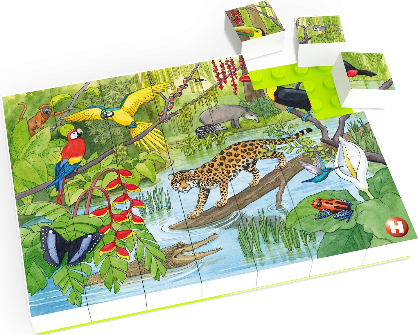 HUBELINO Faune dans la forêt tropicale (35 pièces) - Puzzle (multicolore)
