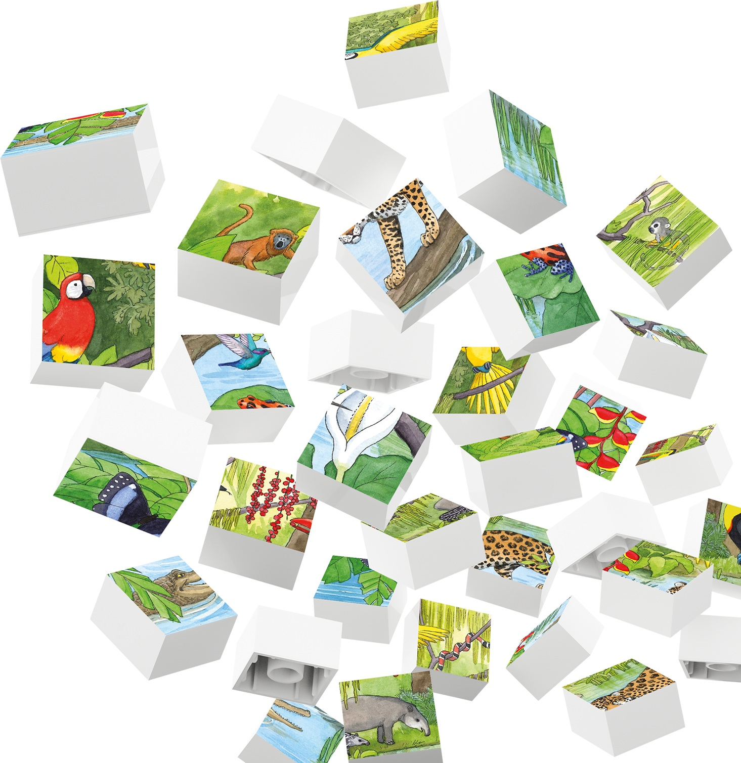 HUBELINO Faune dans la forêt tropicale (35 pièces) - Puzzle (multicolore)