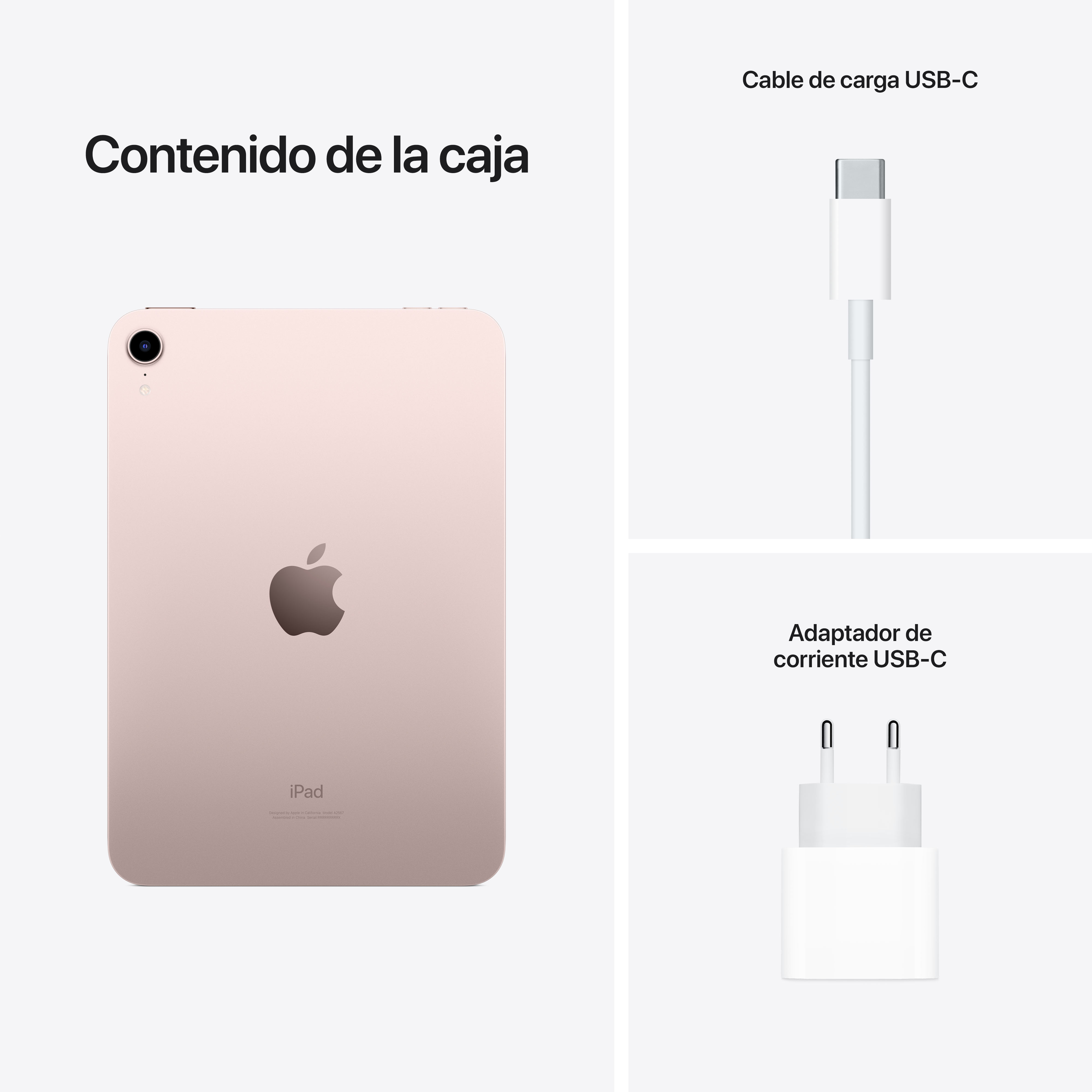 iPad, cable y adaptador de carga USB-C, mostrados sobre una superficie blanca.