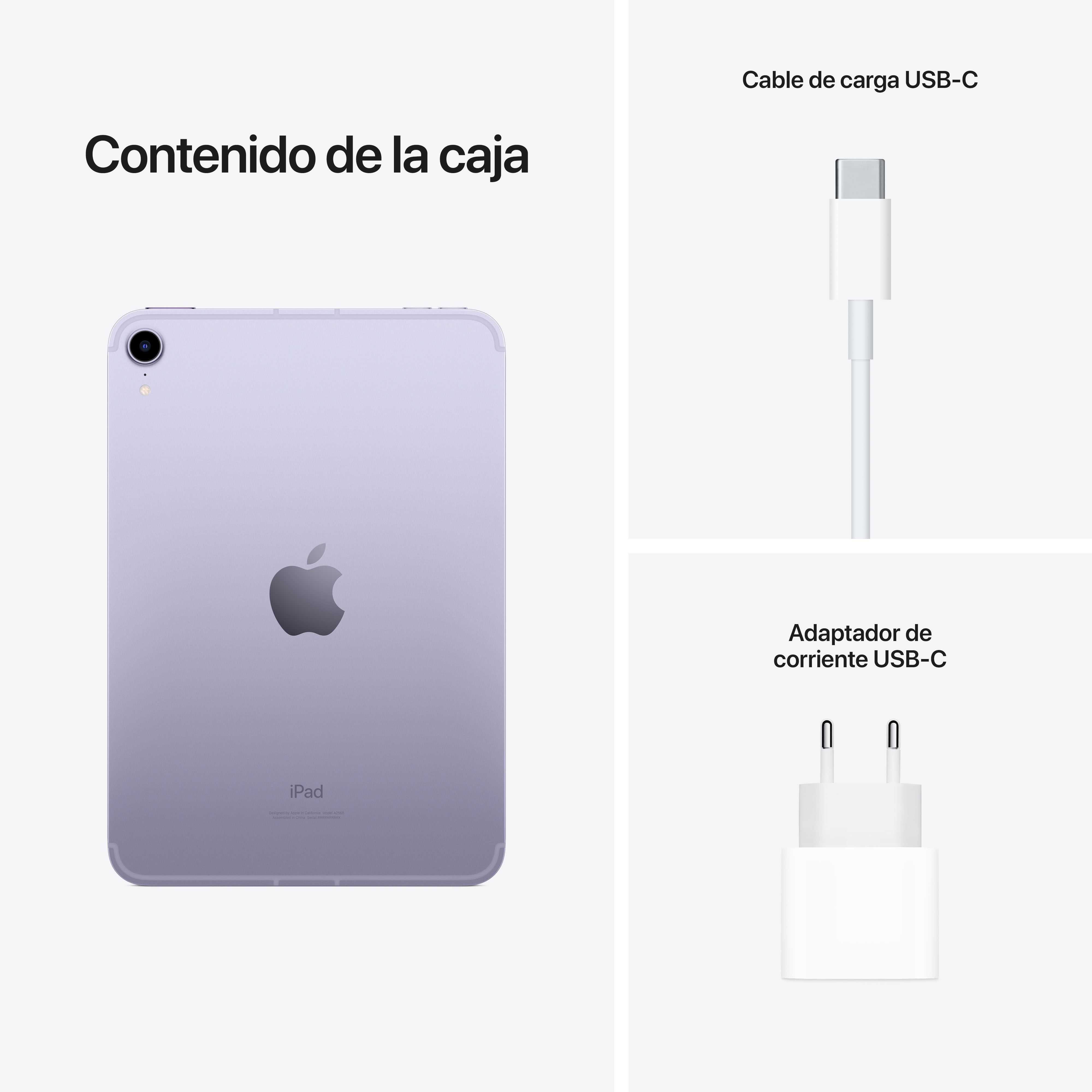 iPad, cable de carga y cargador sobre fondo blanco.