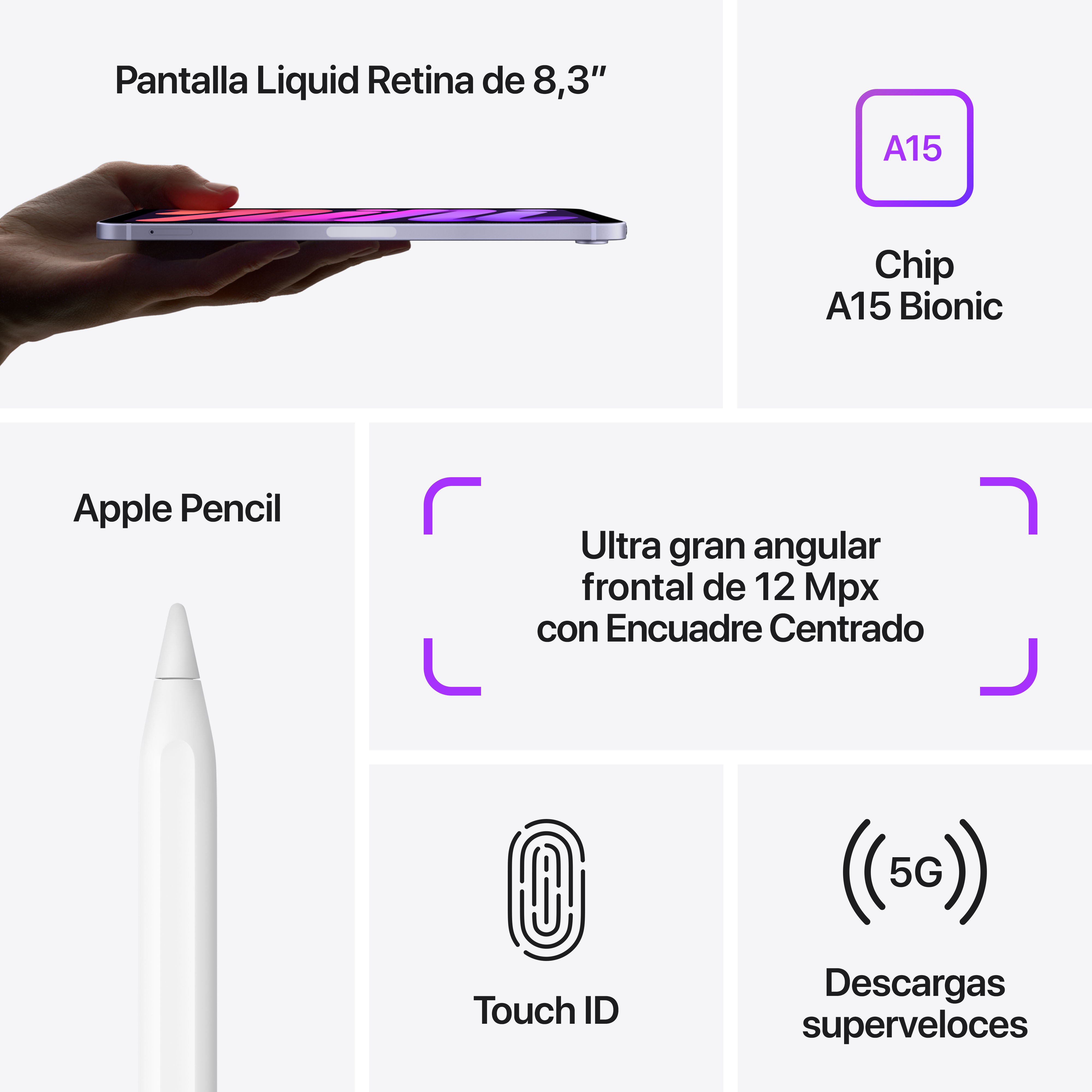 iPad con texto e iconos que muestran funciones: pantalla, procesador, lápiz, Touch ID y 5G.