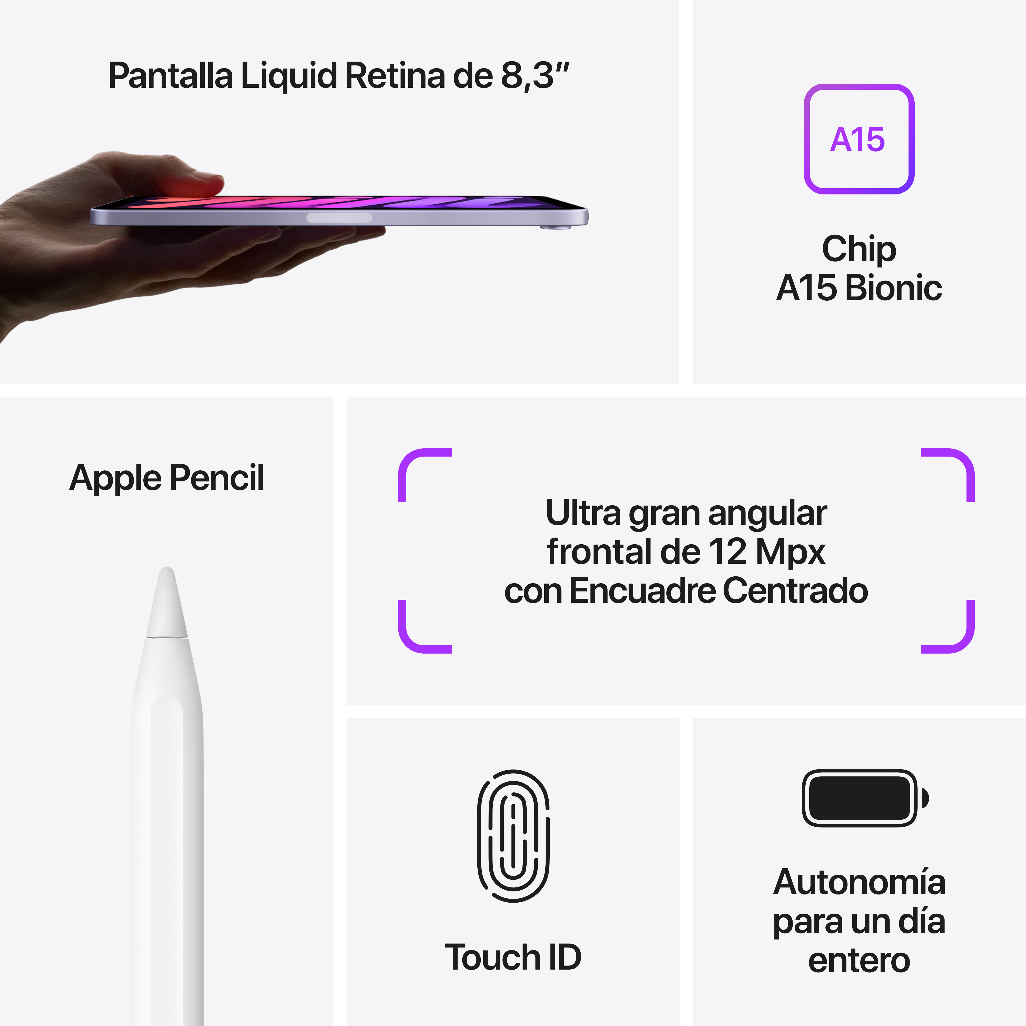 Diagrama de un iPad con Apple Pencil y funciones etiquetadas: chip A15, Touch ID y batería de larga duración.