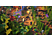 Minecraft Dungeons : Édition Ultime - Xbox Series X - Allemand, Français