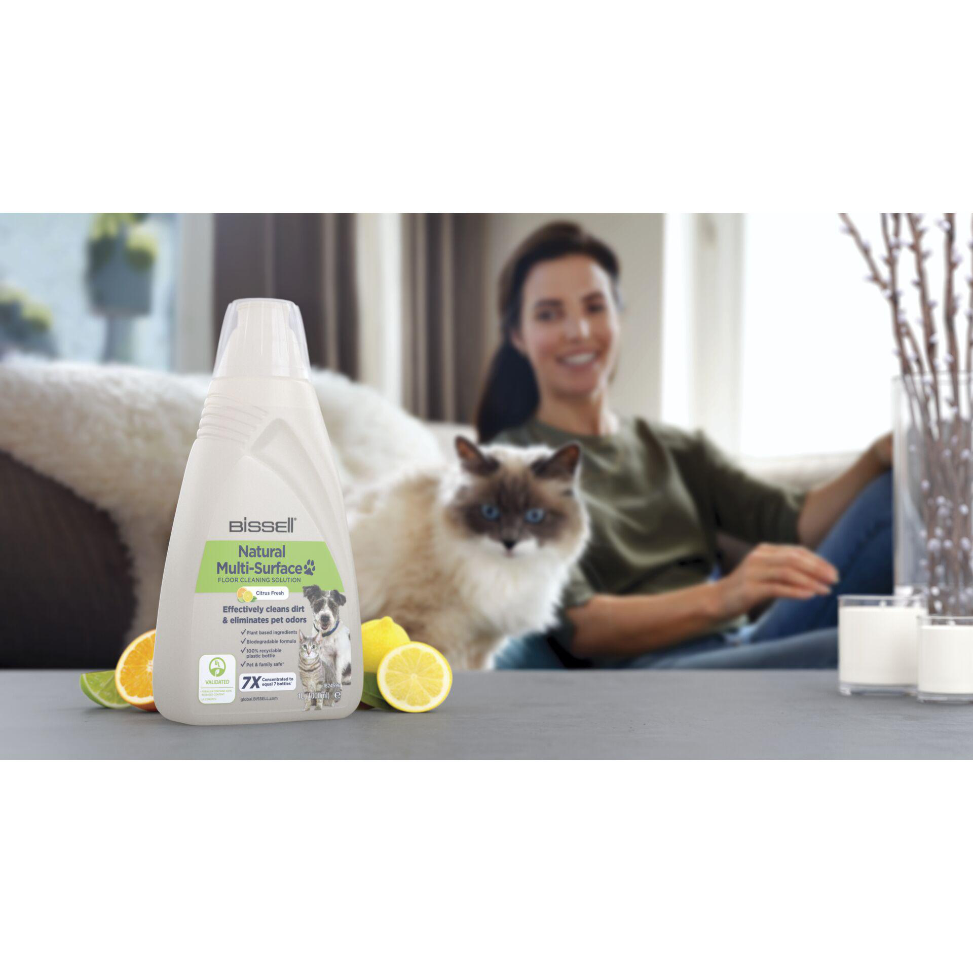Eine Flasche Reinigungsmittel, Zitronen, Limetten und eine Katze auf einem Sofa. Eine Frau ist im Hintergrund unscharf.