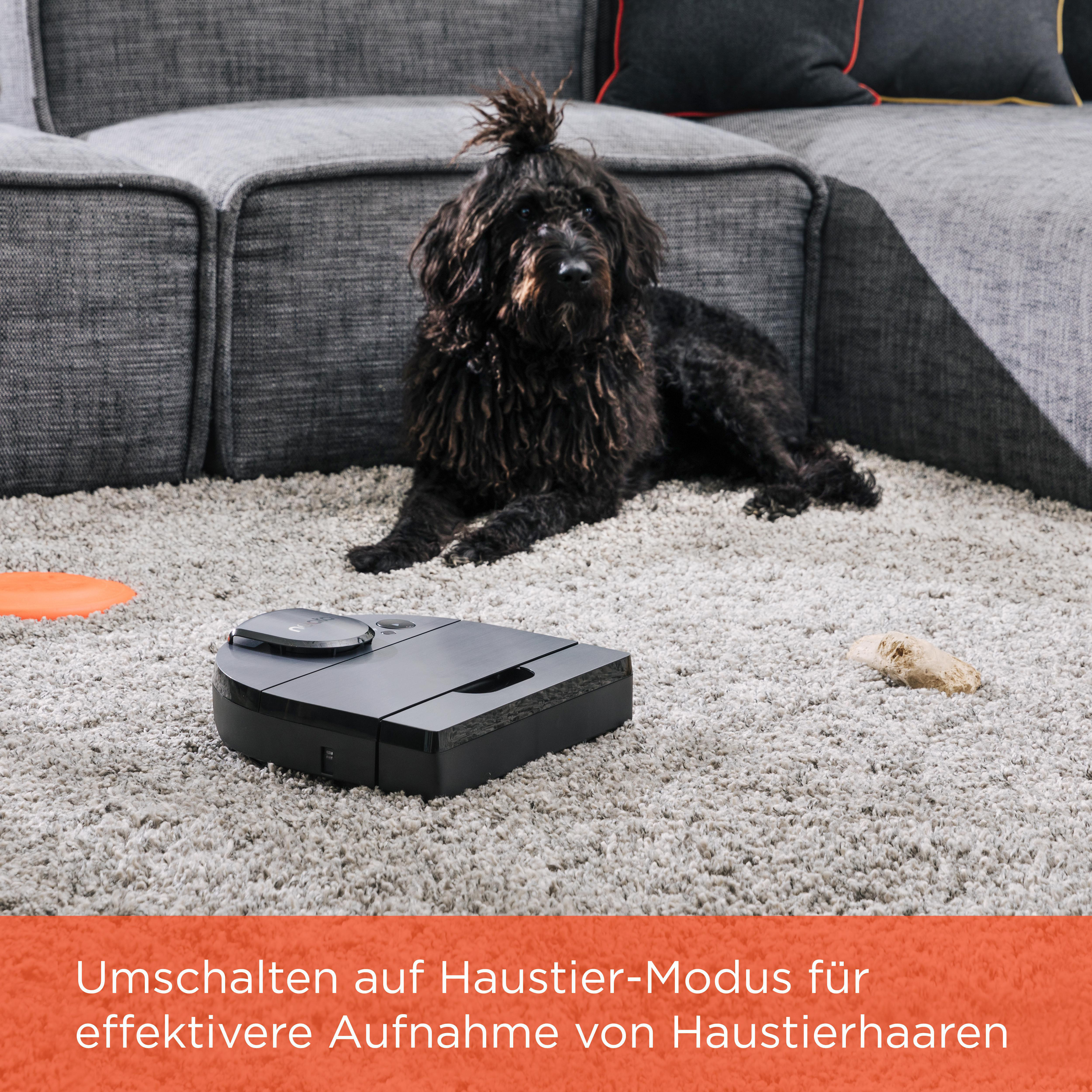 Ein schwarzer Roboter-Staubsauger reinigt einen Teppich. Ein Hund liegt auf dem Teppich.
