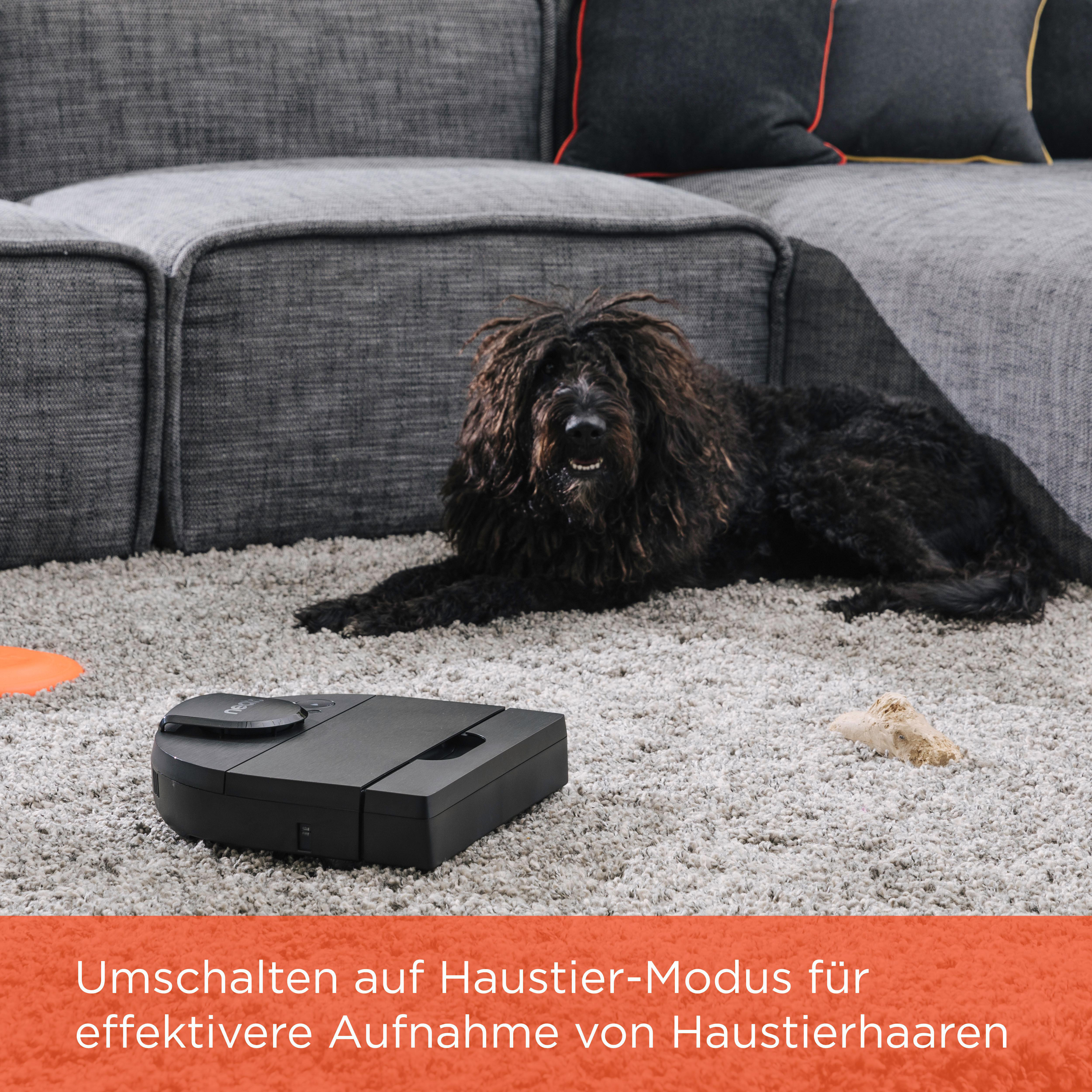 Ein schwarzer Roboter-Staubsauger auf einem Teppich mit einem Hund und einem Spielzeug.