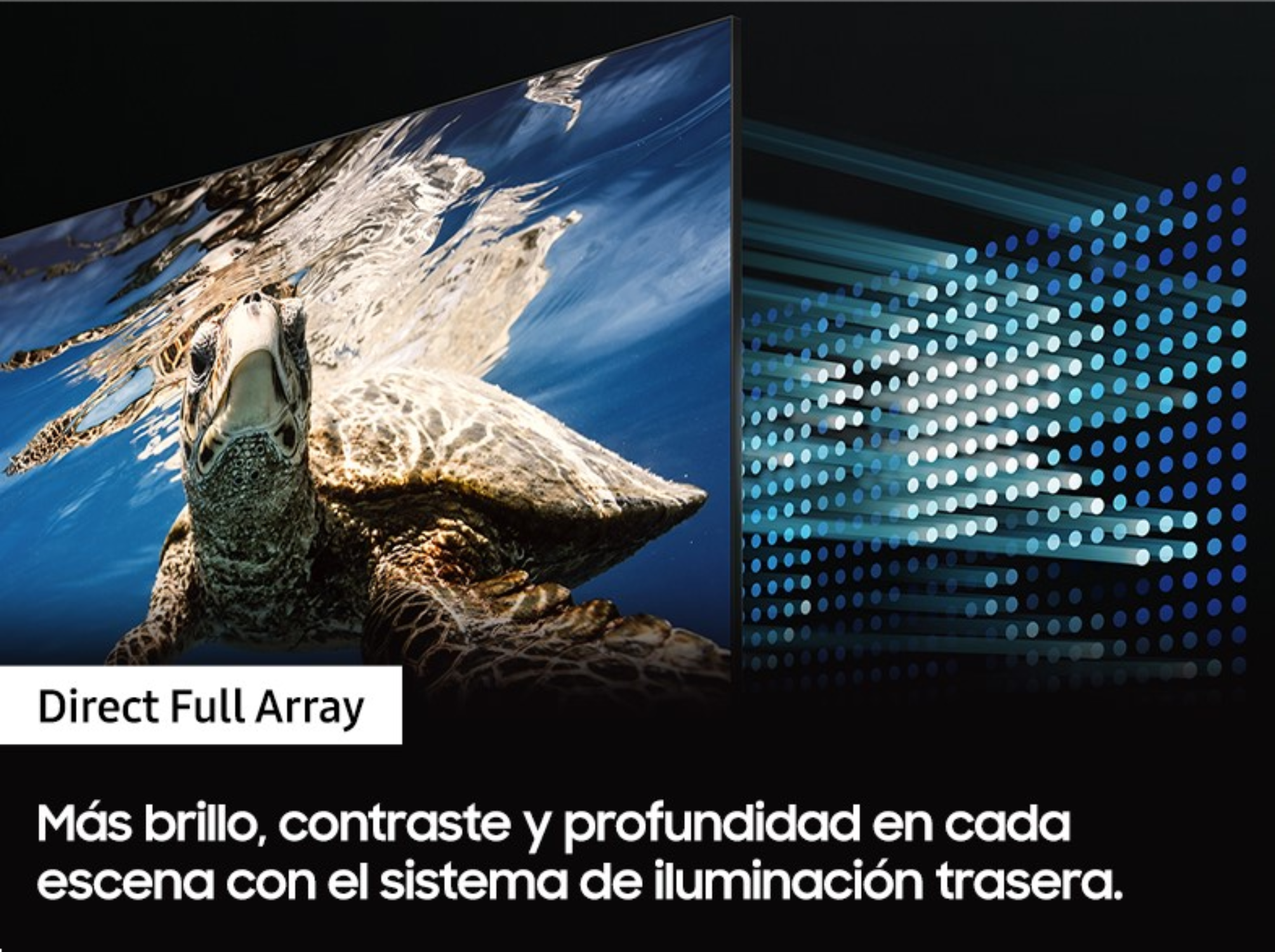 Pantalla con una tortuga bajo el agua y un conjunto de luces azules.