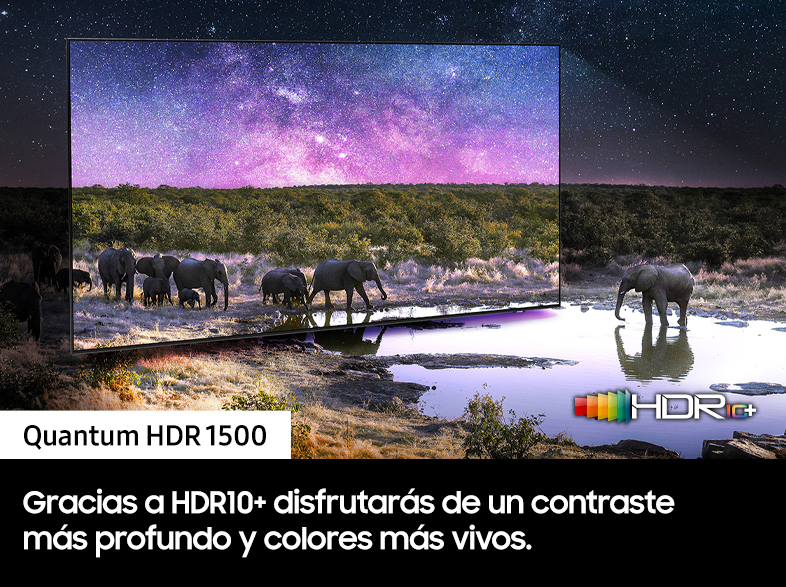 Una pantalla de TV que muestra un cielo estrellado y elefantes en un lago, con texto debajo.