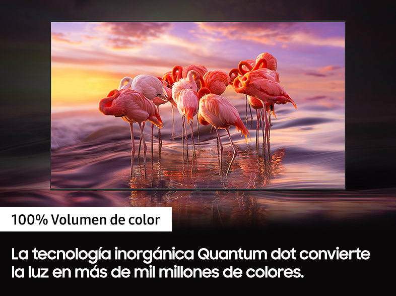 Una pantalla de TV con un grupo de flamencos al fondo.