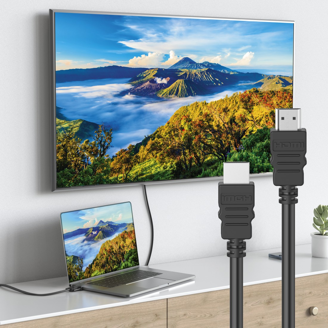 Fernseher mit Laptop, der die gleiche Landschaft zeigt, mit HDMI-Kabeln.