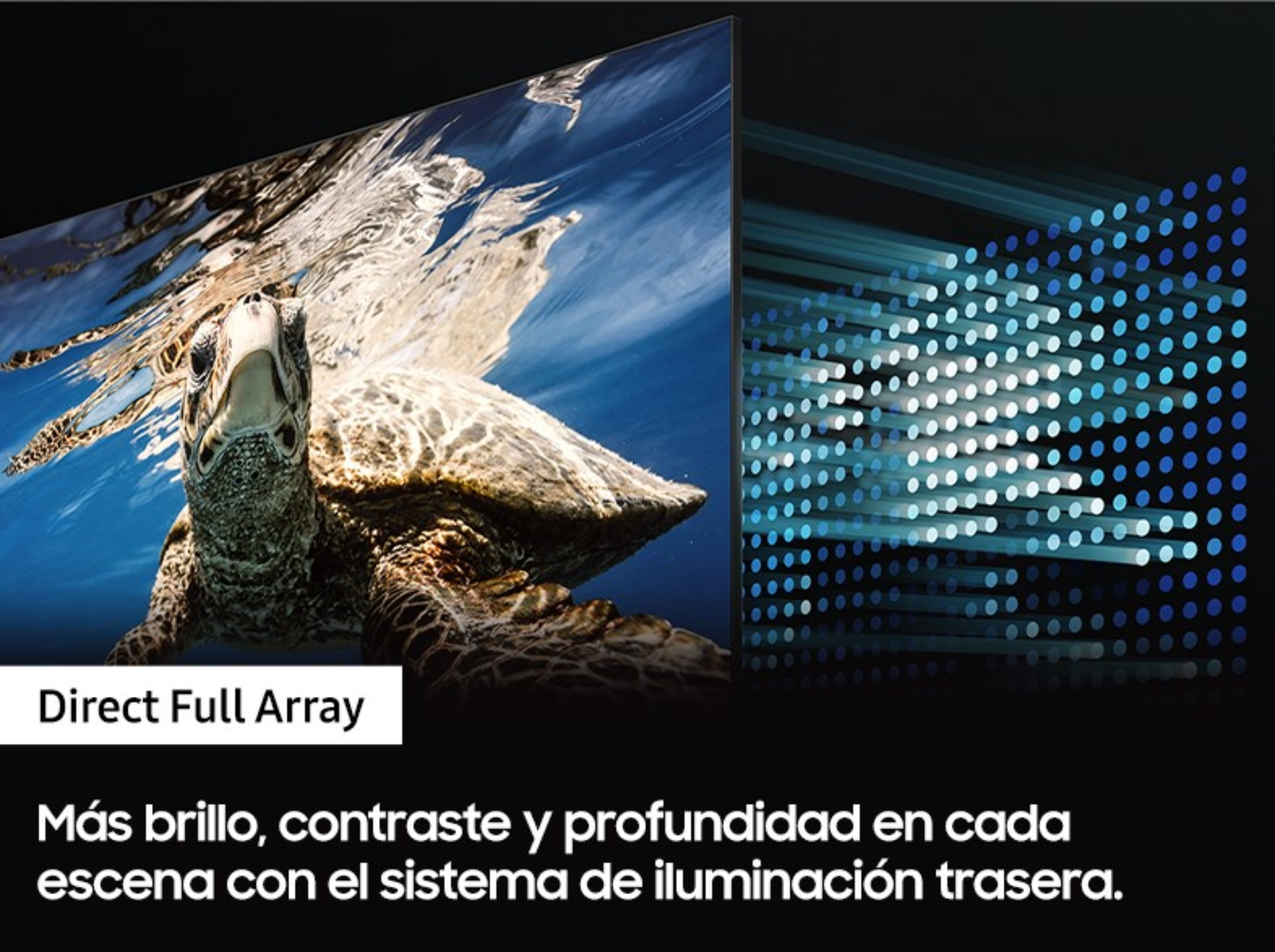 Una pantalla con una tortuga marina y luces azules y blancas.
