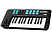 ALESIS V25 MKII USB MIDI - Contrôleur de clavier (Noir)