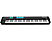 ALESIS V61 MKII USB MIDI - Contrôleur de clavier (Noir)
