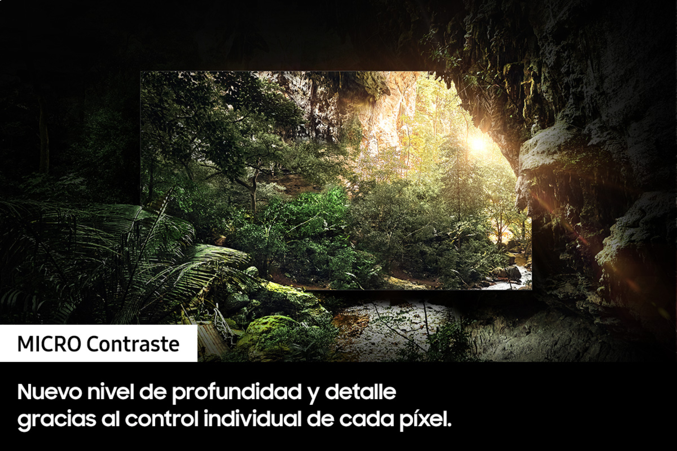 Una pantalla que muestra una escena de bosque dentro de un marco oscuro, similar a una cueva.