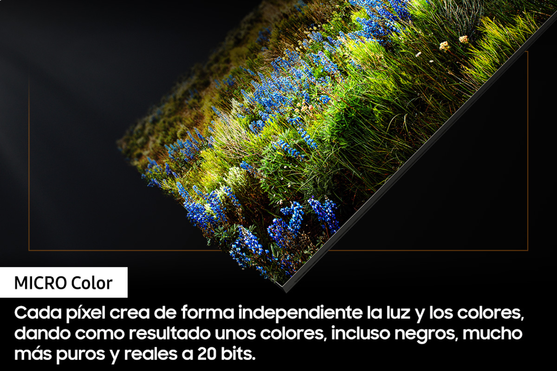 Primer plano de una pantalla de TV con flores coloridas, fondo oscuro, texto.