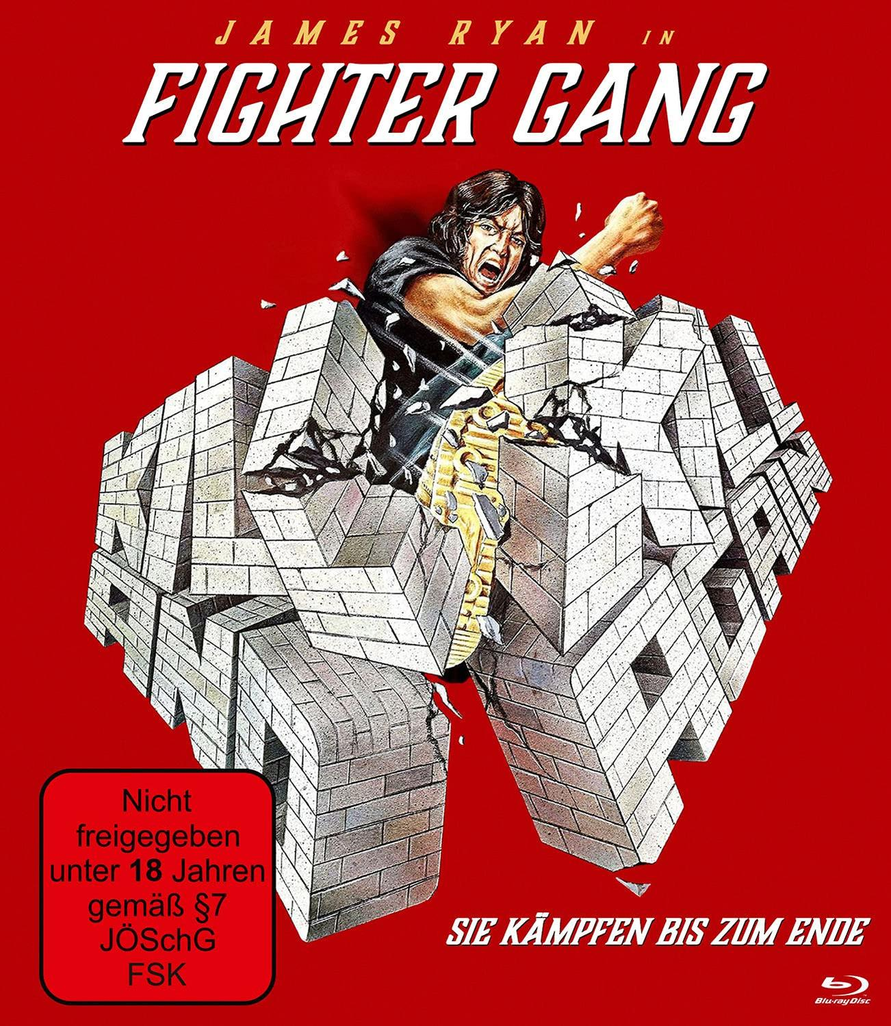 Fighter Gang Filmplakat. Ein Mann bricht durch eine Wand, mit rotem Hintergrund.