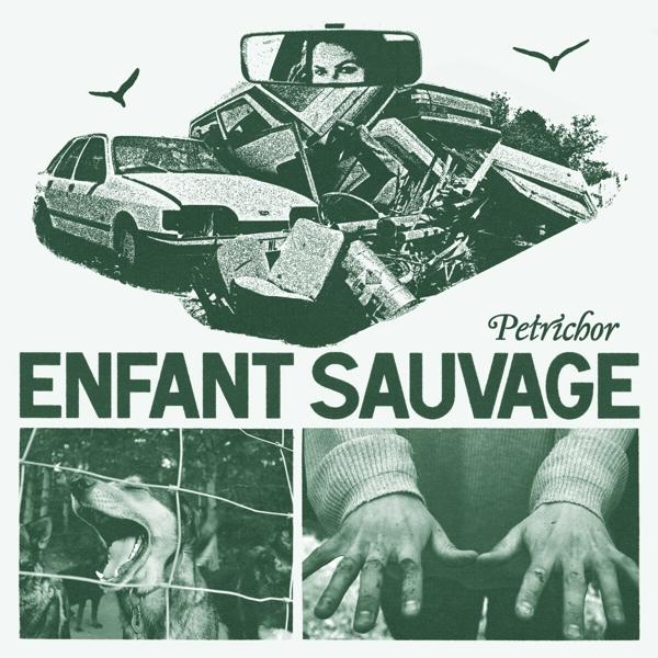 Pochette de l'album Enfant Sauvage avec chien, accident et mains.