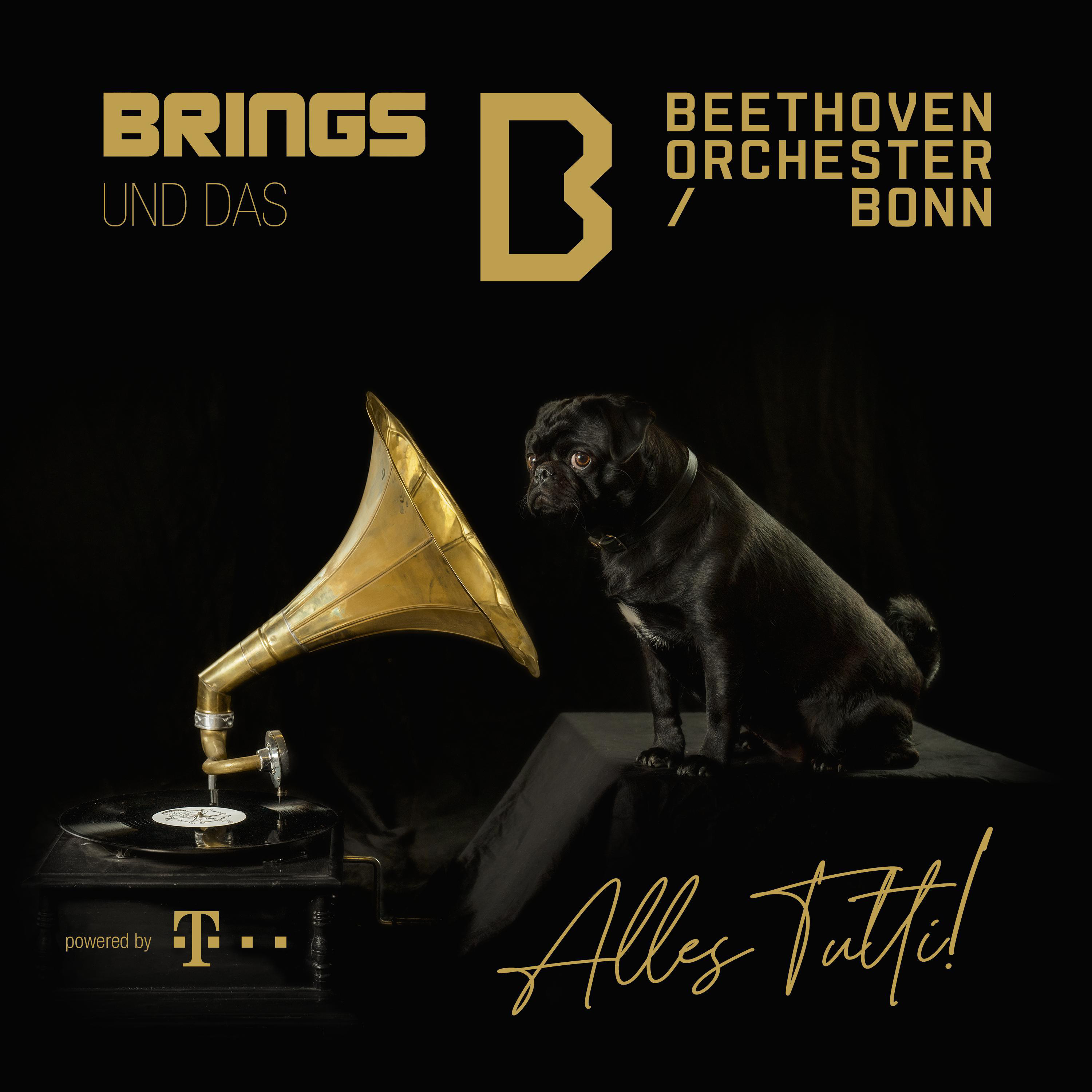 Ein schwarzer Mops sitzt neben einer Grammophon. Text: Brings und das Beethoven Orchester Bonn, Alles Tutti!