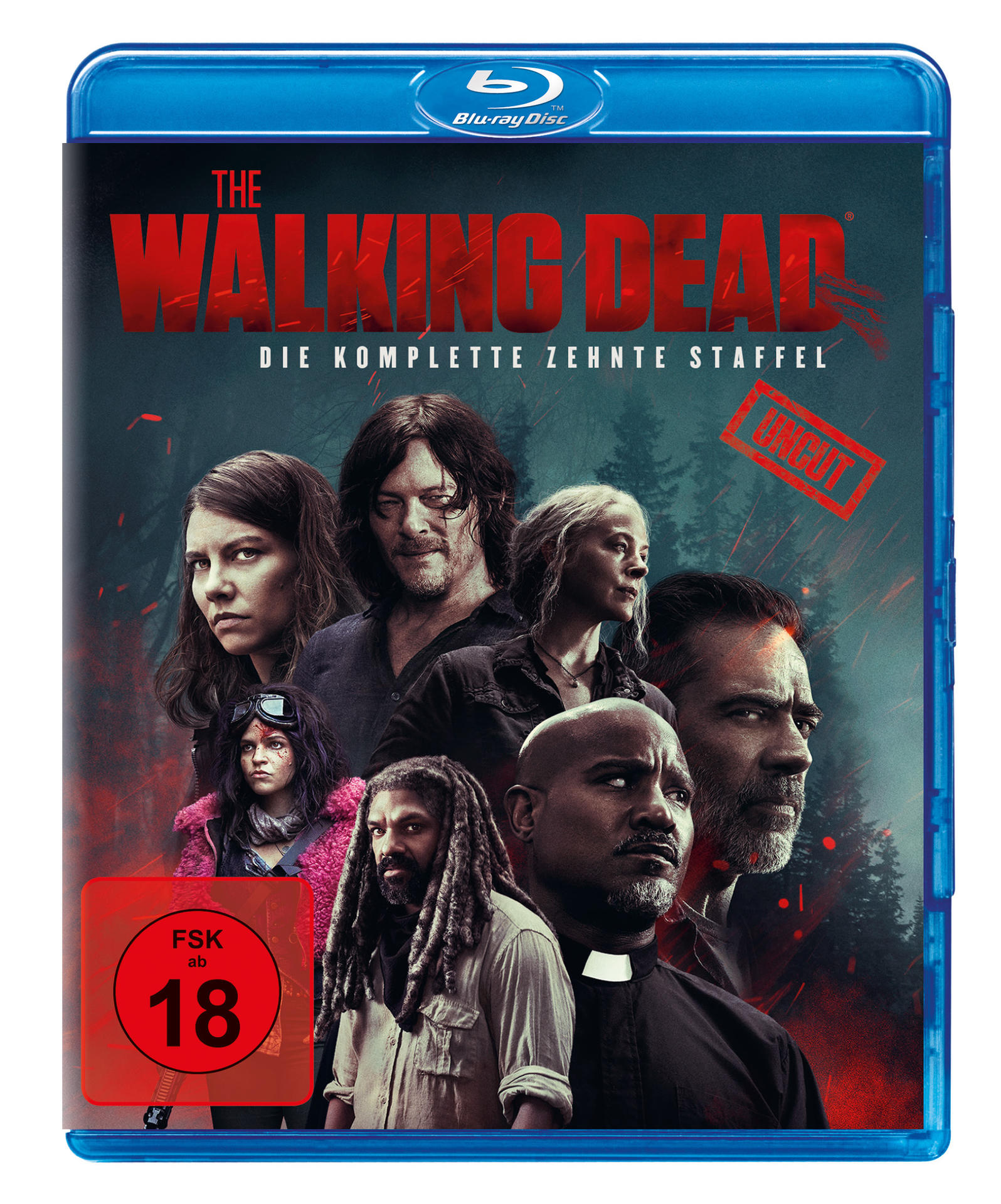 Blu-ray-Cover von 'The Walking Dead' mit einer Gruppe von Charakteren der Serie vor dunklem Hintergrund.