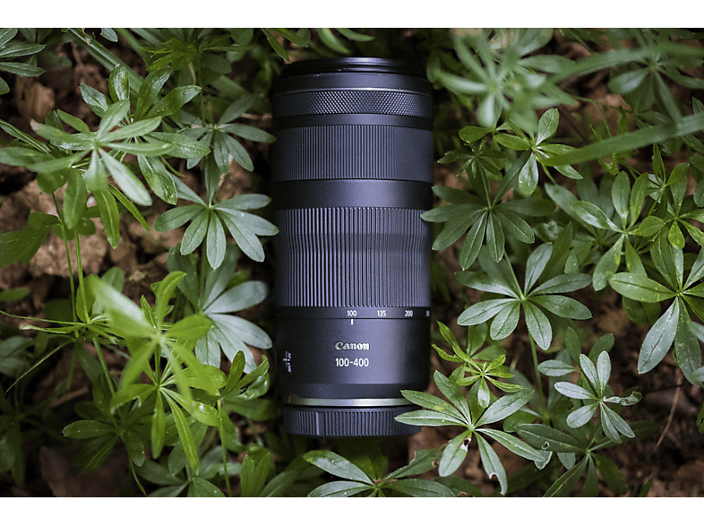 Thumbnail - CANON RF 100 mm - 400 f./5.6-8 IS, USM (Objektiv für Canon R-Mount, Schwarz)