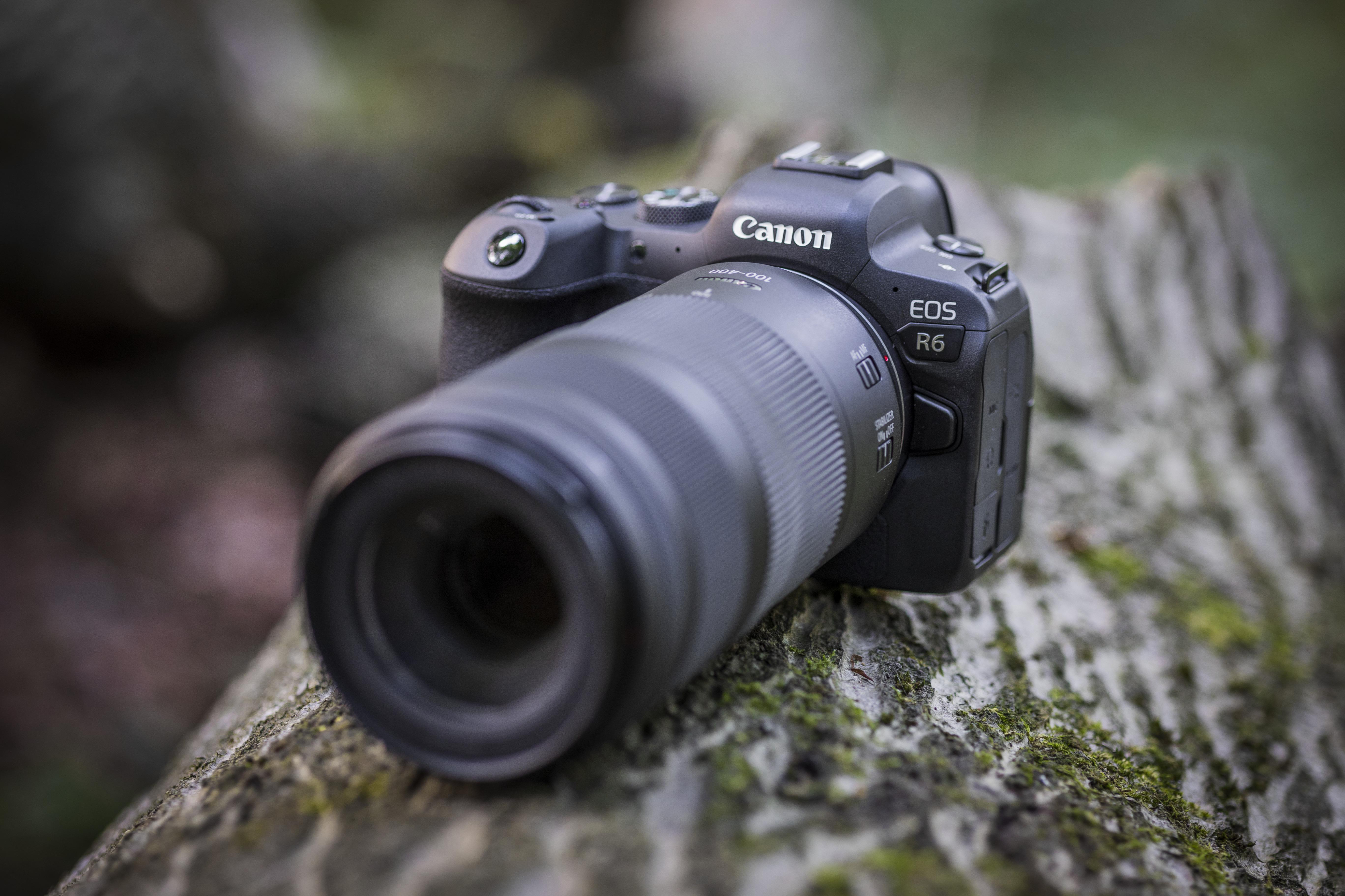 Canon EOS R6 Kamera mit Objektiv, auf einem Holzstamm liegend.