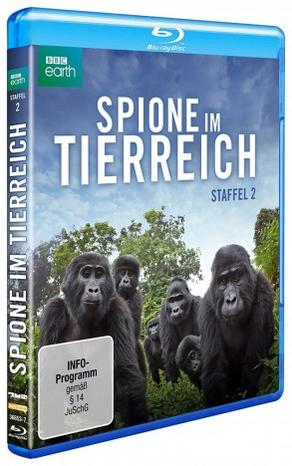 Blu-ray-Hülle von Spione im Tierreich Staffel 2, mit Gorillas auf dem Cover.
