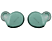 JABRA Draadloze sport oortjes Elite 7 Active Groen (100-99171003-60)