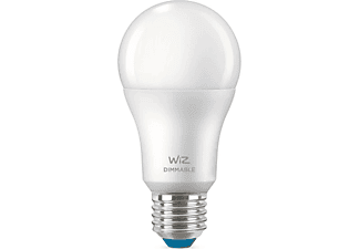 WIZ Lamp Warmwit Licht E27 Mat