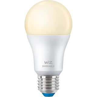 WIZ Lamp Warmwit Licht E27 Mat