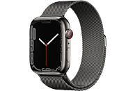 APPLE Watch Series 7 Cellular 45 mm grafiet roestvrij staal / grafiet Milanees bandje